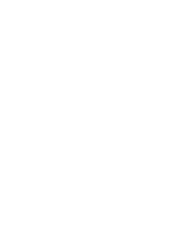 Servicio Pintura