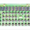 774269 Mlu43123298071 082020