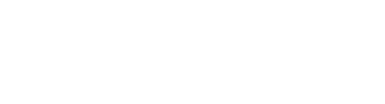 Vidroforte Logo White